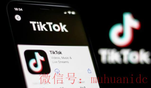 tiktok账号购买平台
