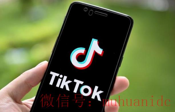 tiktok账号购买平台