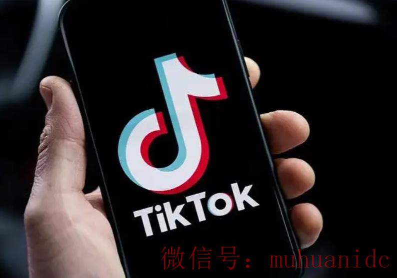 tiktok账号购买平台