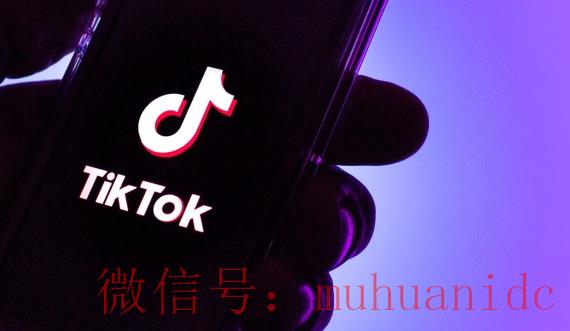 tiktok账号购买平台