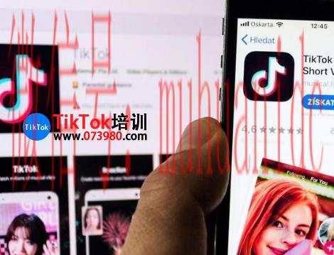 tiktok账号购买平台