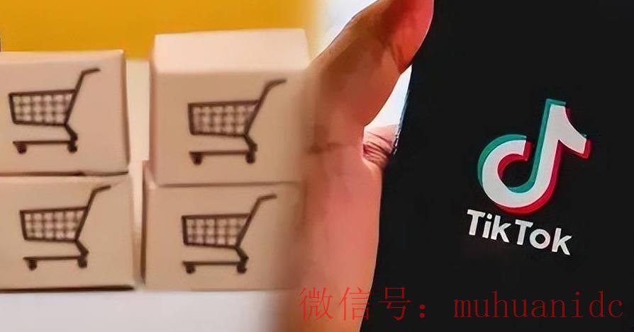 tiktok账号购买平台