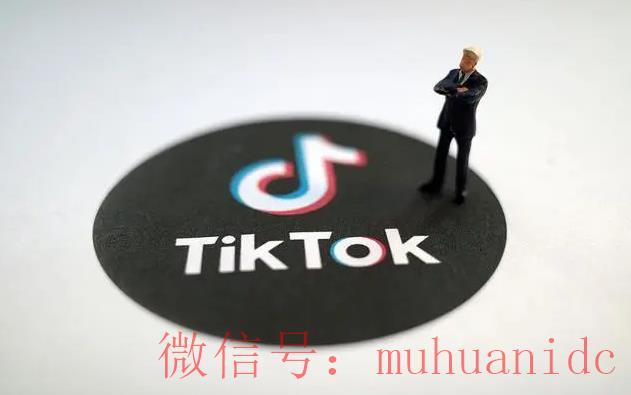tiktok账号购买平台