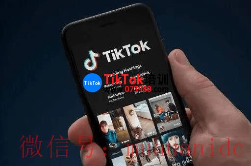 tiktok账号购买平台