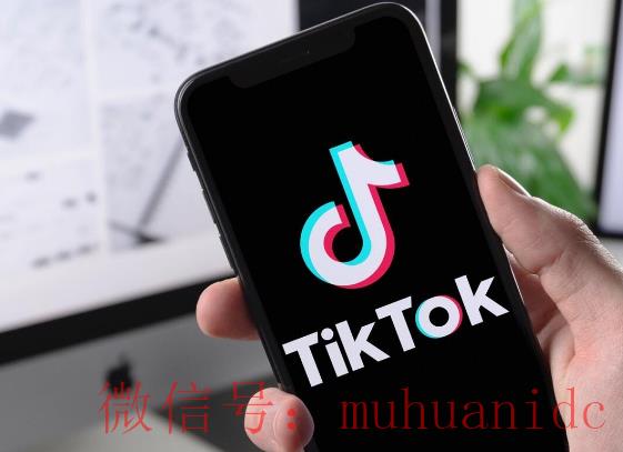 tiktok账号购买平台