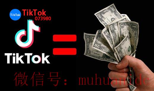 tiktok账号购买平台