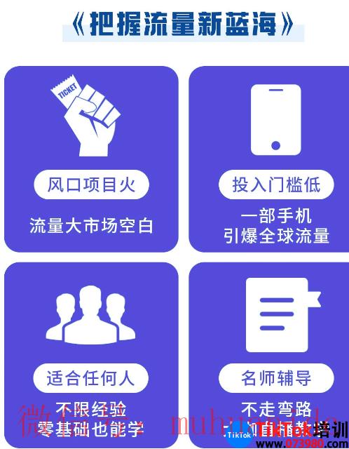 TikTok账号购买平台