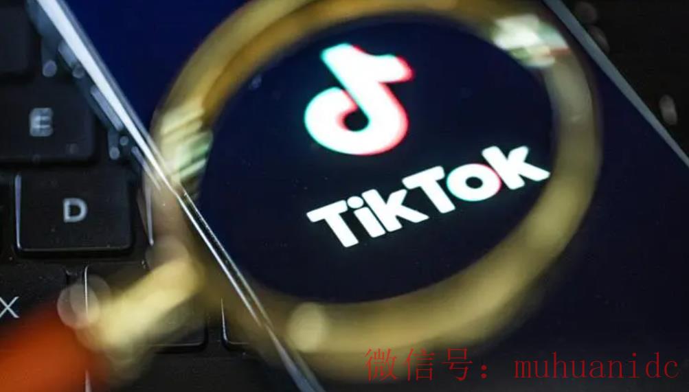 tiktok账号购买平台