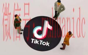 tiktok账号购买平台