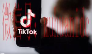tiktok账号购买平台