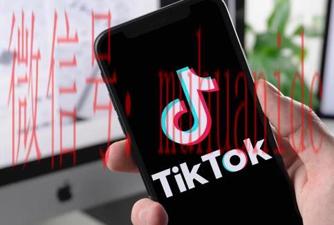 tiktok账号购买平台