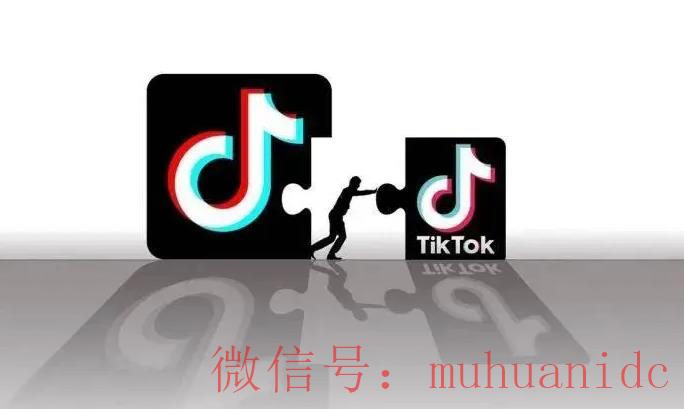tiktok账号购买平台