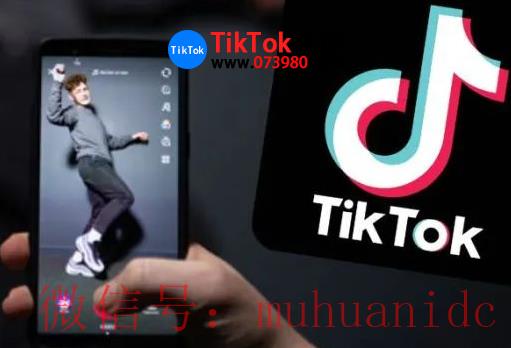 tiktok账号购买平台