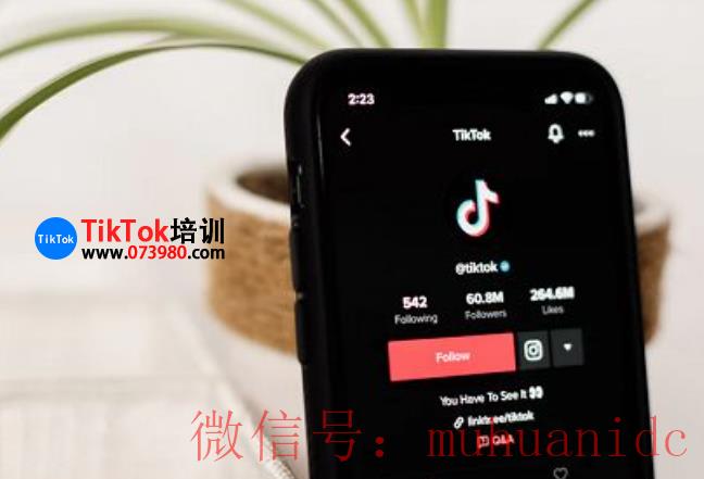 tiktok账号购买平台