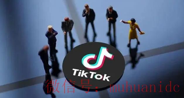 tiktok账号购买平台