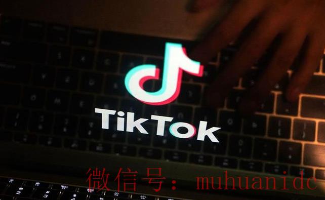 tiktok账号购买平台