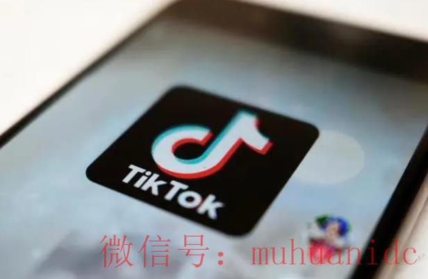 tiktok账号购买平台