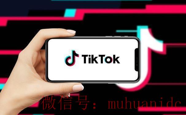 tiktok账号购买平台