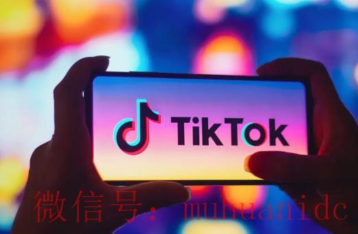 tiktok账号购买平台