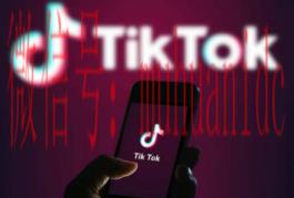 tiktok账号购买平台