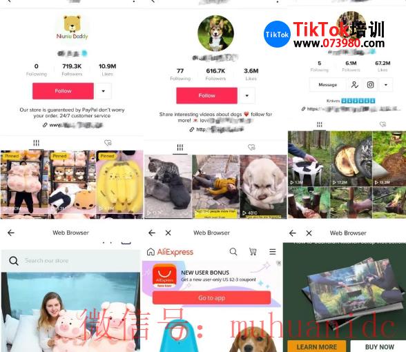 tiktok账号购买平台