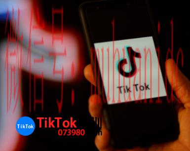tiktok账号购买平台