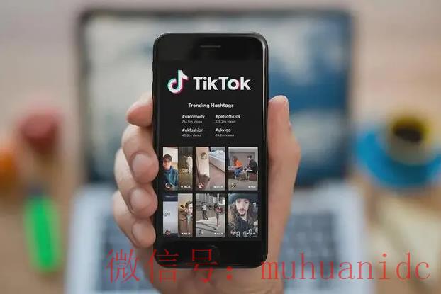 tiktok账号购买平台