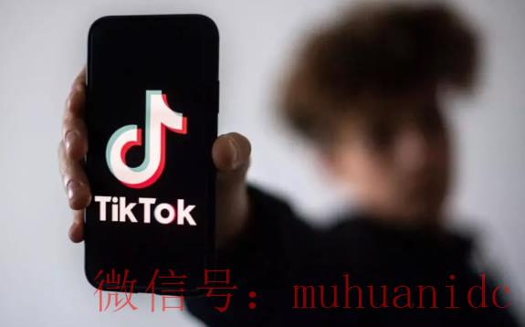 tiktok账号购买平台
