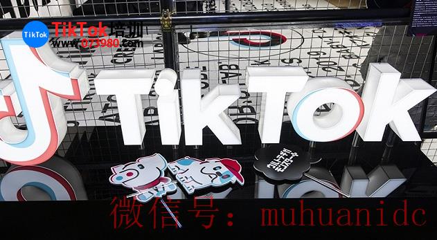 tiktok账号购买平台