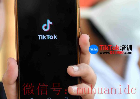 tiktok账号购买平台