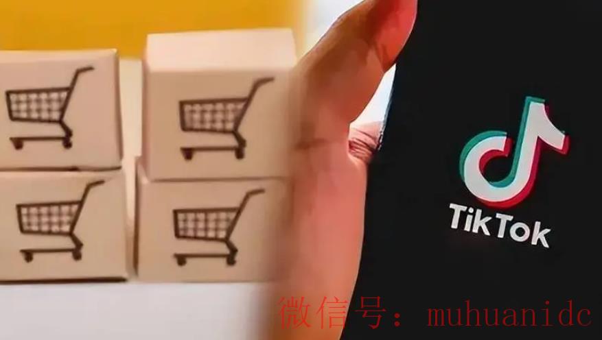 tiktok账号购买平台