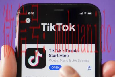 tiktok账号购买平台