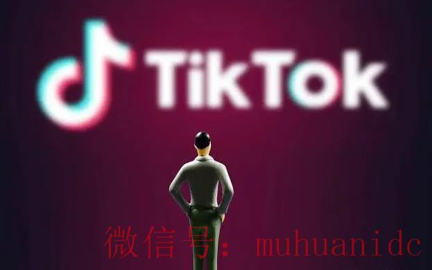 tiktok账号购买平台