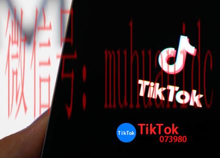tiktok账号购买平台