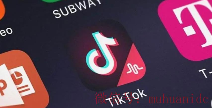 tiktok账号购买平台