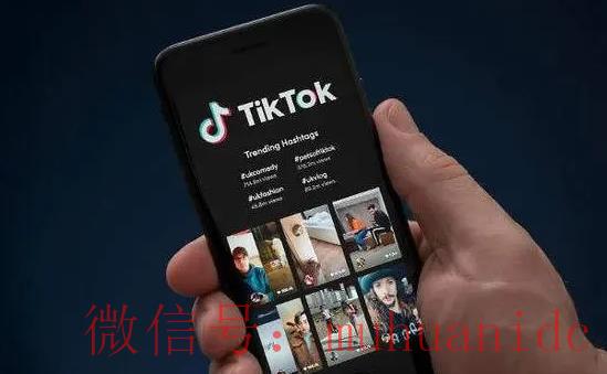 tiktok账号购买平台