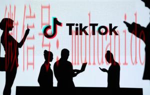 tiktok账号购买平台