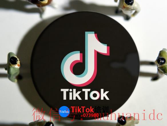 tiktok账号购买平台