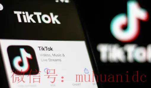 tiktok账号购买平台