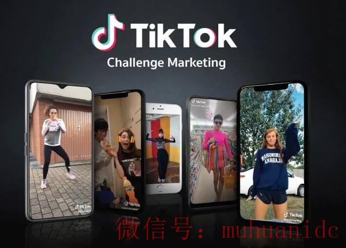 tiktok账号购买平台