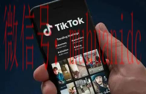 tiktok账号购买平台