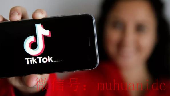 tiktok账号购买平台