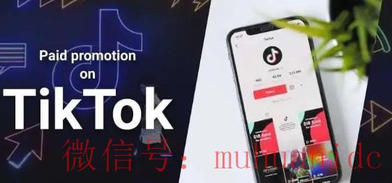 tiktok账号购买平台