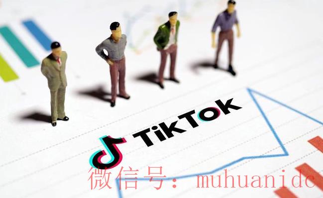 tiktok账号购买平台