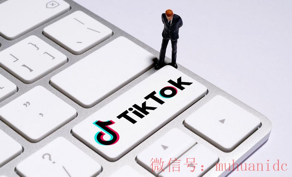 tiktok账号购买平台