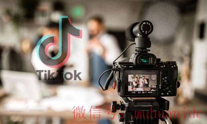 tiktok账号购买平台