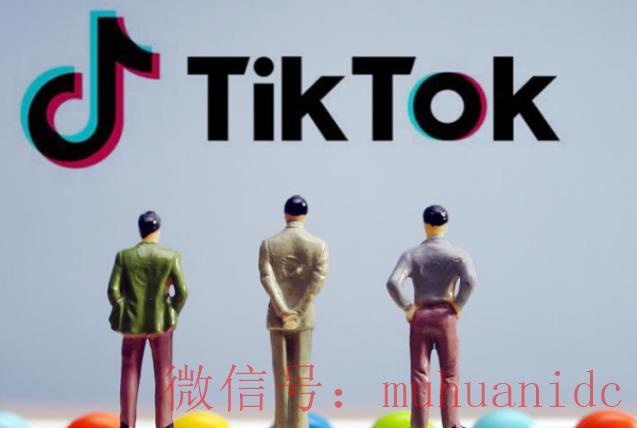 TikTok账号购买平台