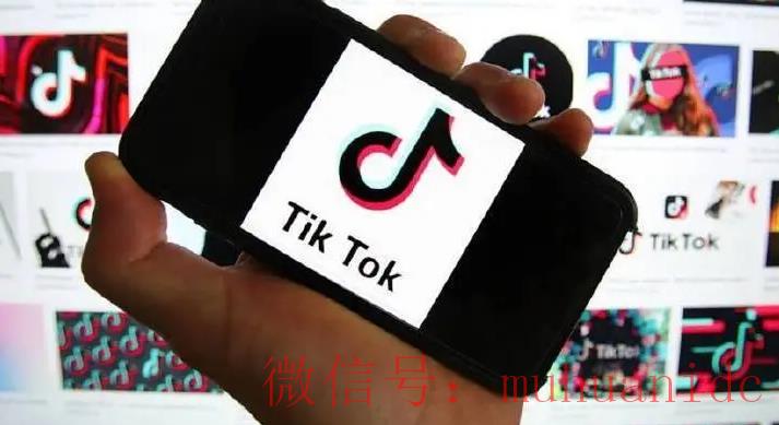 tiktok账号购买平台