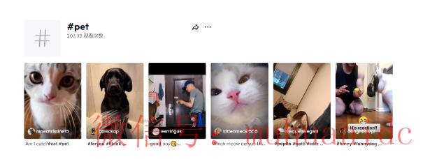 tiktok账号购买平台