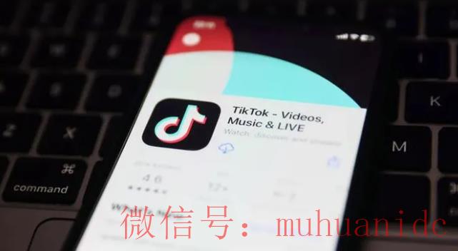 tiktok账号购买平台